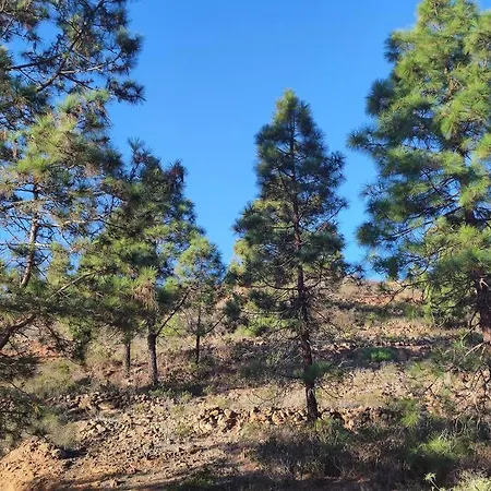 Carmen's House Arico